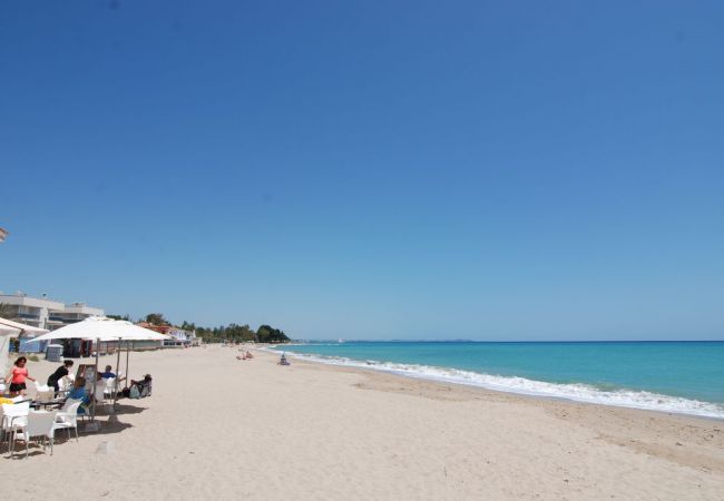 Apartamento en Mont-Roig del Camp - Guardamar 2/4 Zeus  Apartments Miami 01251