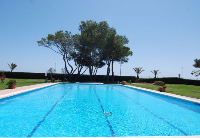 Apartamento en Mont-Roig del Camp - Guardamar 2/4 Zeus  Apartments Miami 01251