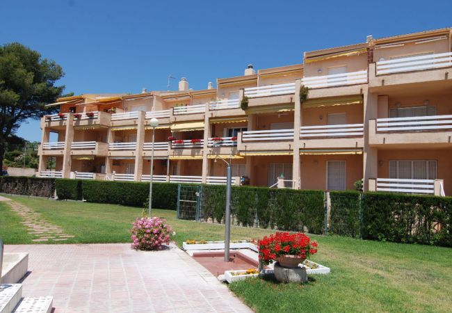 Apartamento en Mont-Roig del Camp - Guardamar 2/4 Zeus  Apartments Miami 01251