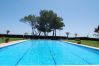 Apartamento en Mont-Roig del Camp - Guardamar 2/4 Zeus  Apartments Miami 01251