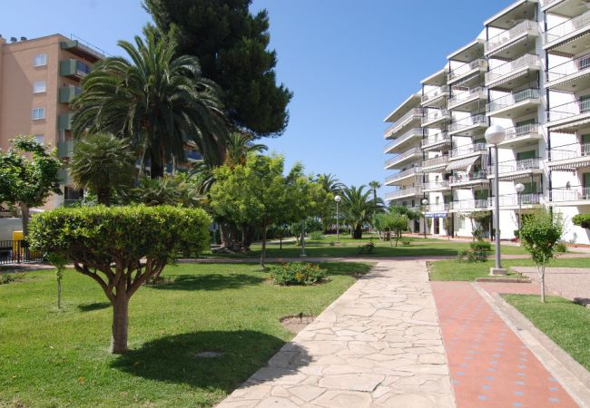 Apartamento en Salou - Auriga  Zeus Apartments Salou 
