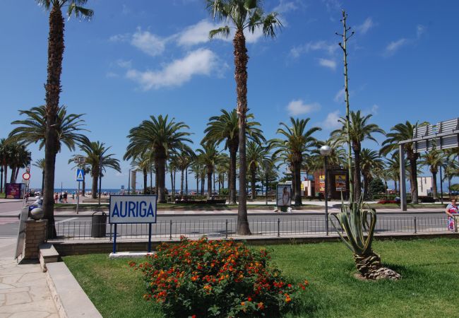 Apartamento en Salou - Auriga  Zeus Apartments Salou 