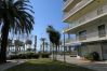 Apartamento en Salou - Auriga  Zeus Apartments Salou 