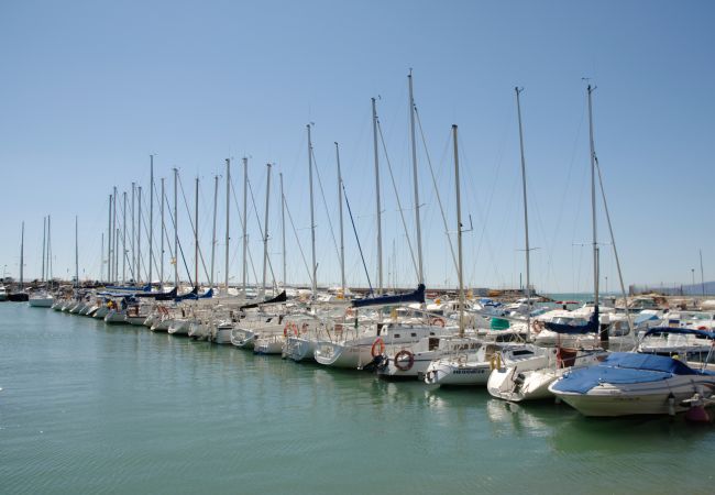 Estudio en Salou - Alexis II Zeus Salou 0552