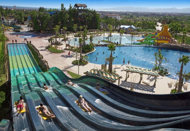 Estudio en Salou - Alexis II Zeus Salou 0552