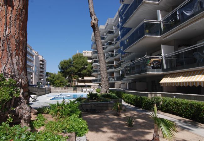 Apartamento en Salou - Montblanc Zeus Salou  11321