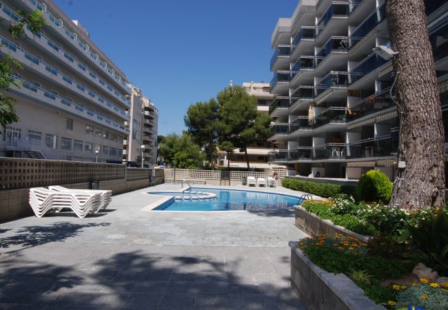 Apartamento en Salou - Montblanc Zeus Salou  11321