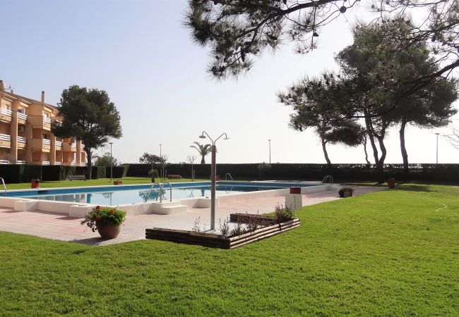 Apartamento en Mont-Roig del Camp - Primera linea de playa Guardamar 11351