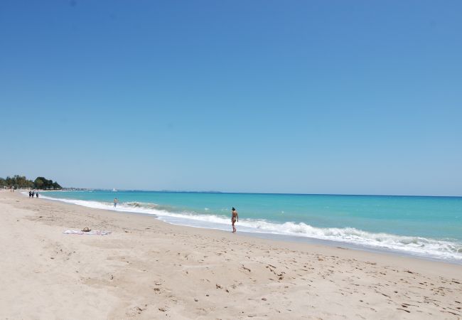 Apartamento en Mont-Roig del Camp - Primera linea de playa Guardamar 11351