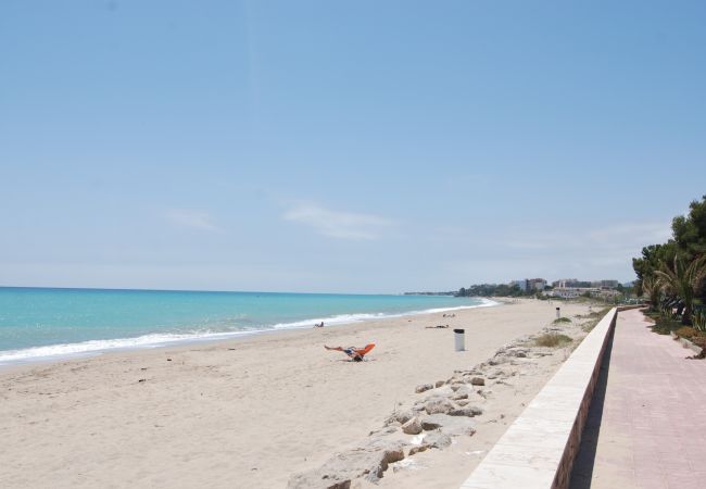 Apartamento en Mont-Roig del Camp - Primera linea de playa Guardamar 11351