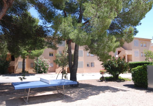 Apartamento en Mont-Roig del Camp - Primera linea de playa Guardamar 11351