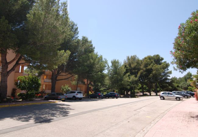 Apartamento en Mont-Roig del Camp - Primera linea de playa Guardamar 11351