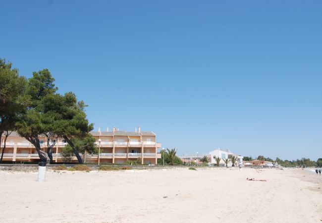 Apartamento en Mont-Roig del Camp - Primera linea de playa Guardamar 11351