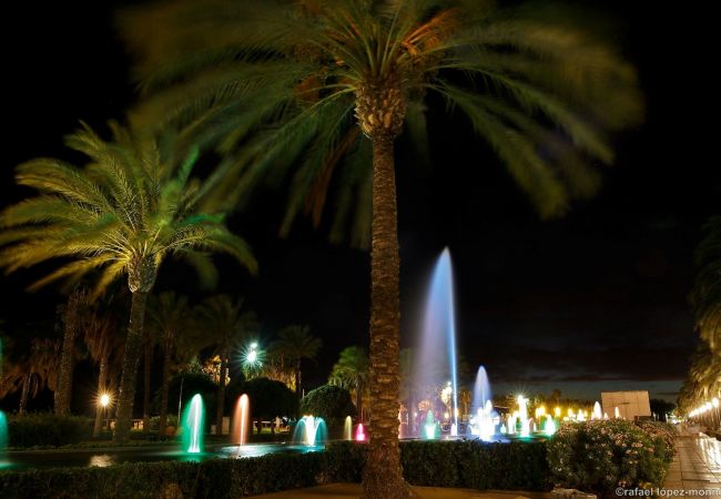 Apartament en Salou - Mercurio Zeus Salou  0558