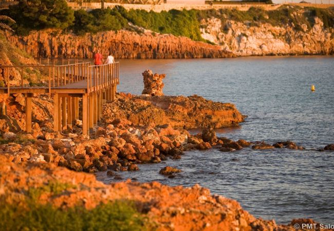 Apartament en Salou - Mercurio Zeus Salou  0558