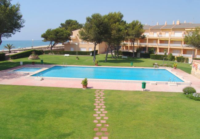Apartament en Mont-Roig del Camp - Guardamar 4/6 Zeus Apartments Miami  90151