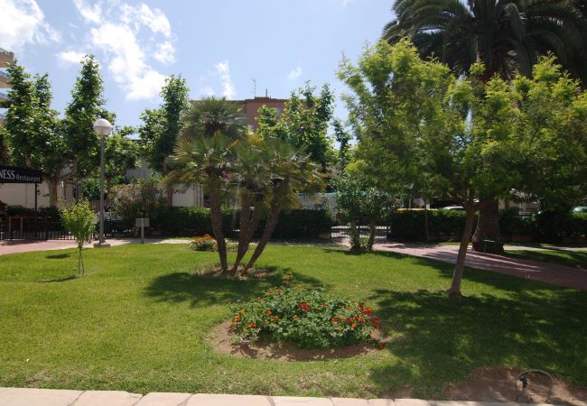 Estudi en Salou - Aries  Zeus Apartments Salou 1345