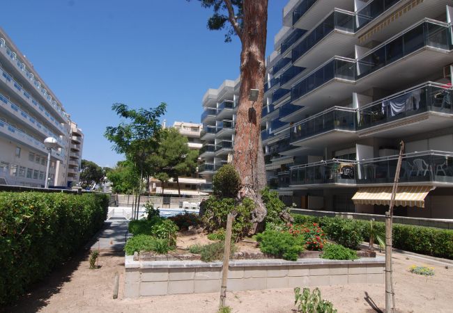 Ferienwohnung in Salou - Montblanc Zeus Salou 80321