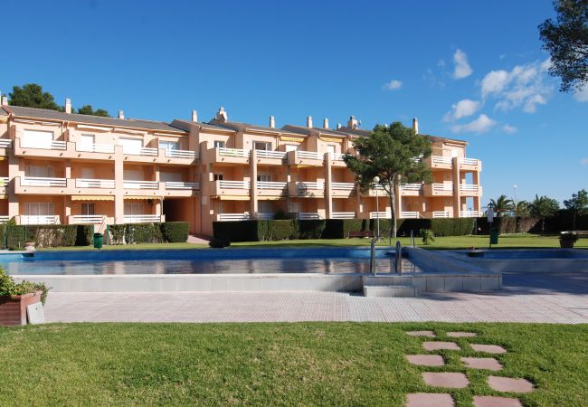 Ferienwohnung in Mont-Roig del Camp - Guardamar 4/6 Zeus Apartments Miami  90151
