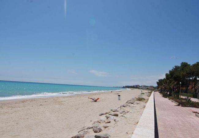 Ferienwohnung in Mont-Roig del Camp - Guardamar 4/6 Zeus Apartments Miami  90151