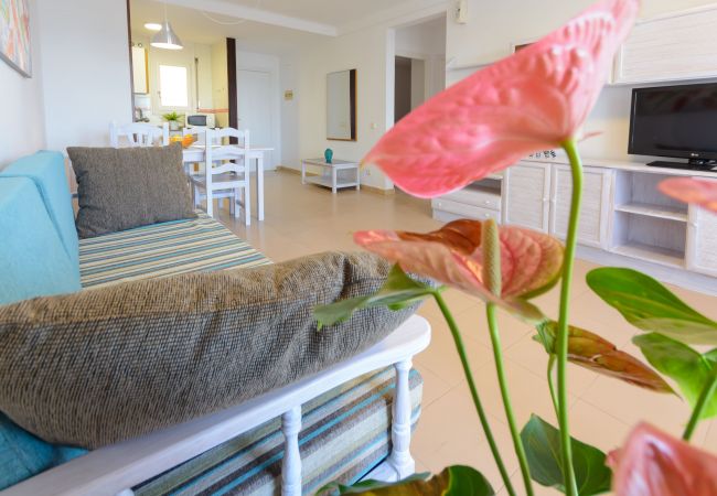 Ferienwohnung in Mont-Roig del Camp - Guardamar 4/6 Zeus Apartments Miami  90151