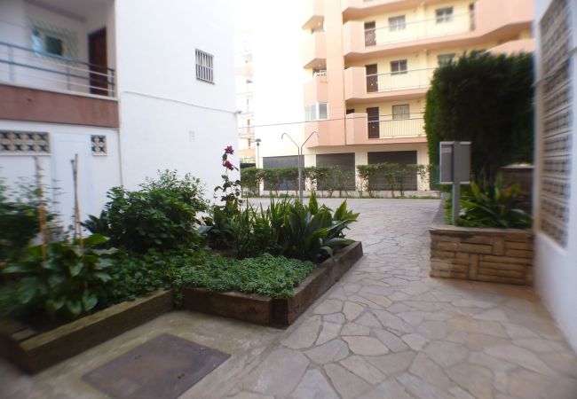 Ferienwohnung in Salou - Alexis II Zeus Salou 0162