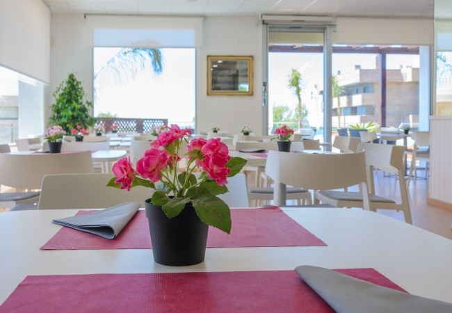 Ferienwohnung in Salou - Zeus Premium Salou