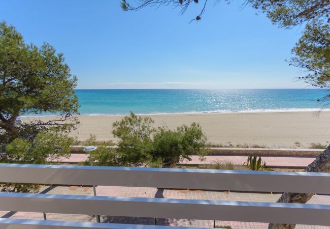 Ferienwohnung in Mont-Roig del Camp - Guardamar Seaview Zeus Miami 01351