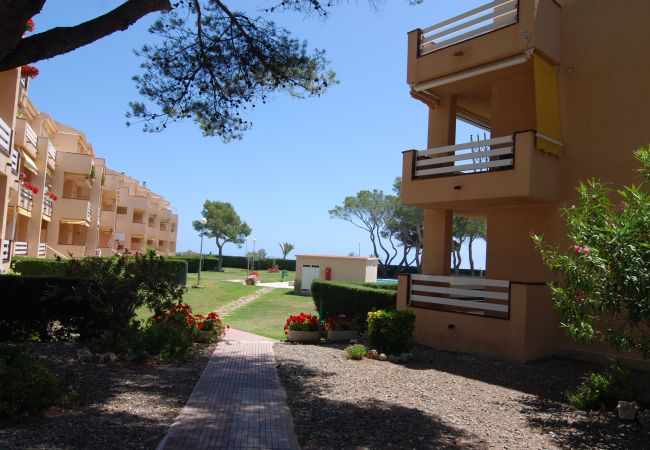 Ferienwohnung in Mont-Roig del Camp - Guardamar Seaview Zeus Miami 01351