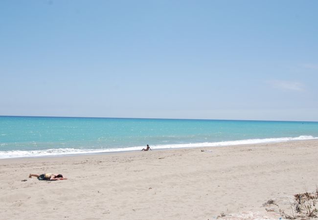 Ferienwohnung in Mont-Roig del Camp - Guardamar Seaview Zeus Miami 01351