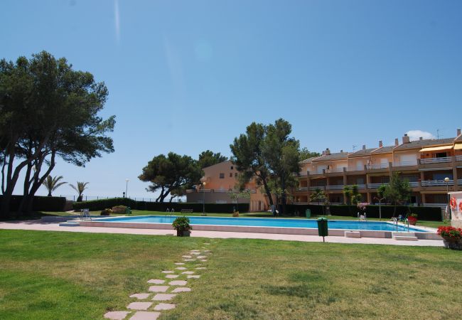 Ferienwohnung in Mont-Roig del Camp - Guardamar Seaview Zeus Miami 01351
