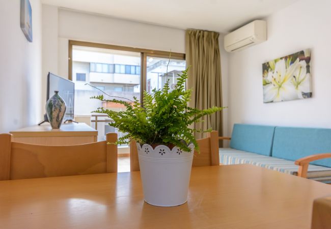 Ferienwohnung in Salou - Sant Jordi Zeus Salou 33305