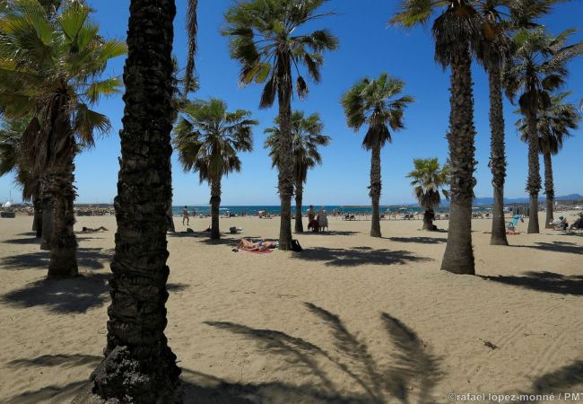 Ferienwohnung in Salou - Sant Jordi Zeus Salou 33405