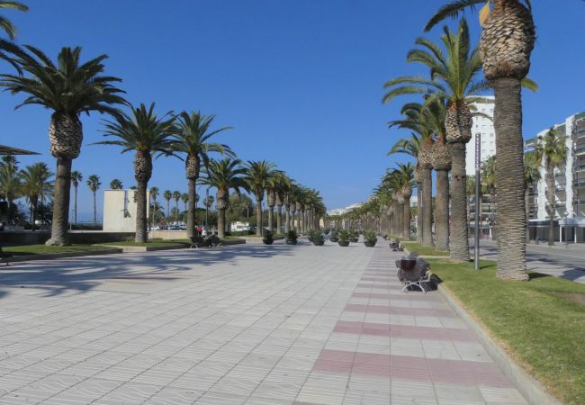 Appartement in Salou - Auriga  Zeus Apartments Salou 