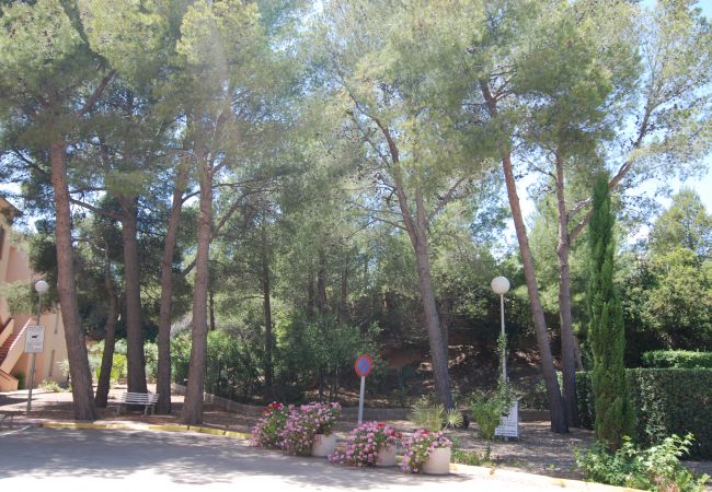 Appartement in Mont-Roig del Camp - Guardamar Seaview Zeus Miami 01351