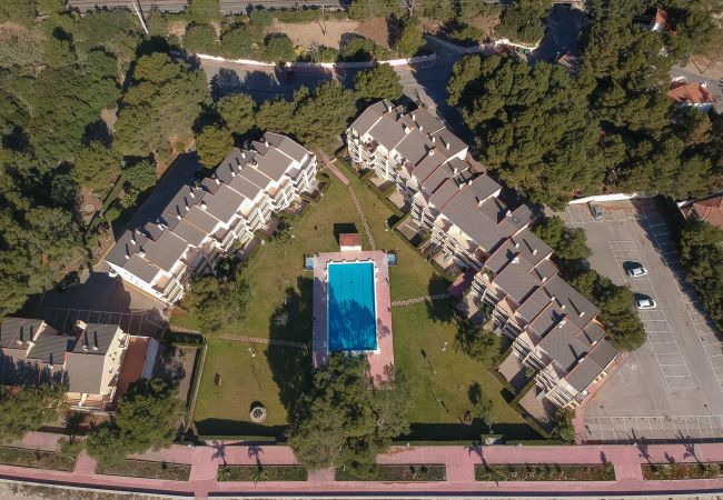Appartement in Mont-Roig del Camp - Guardamar 4/6 Zeus Apartments Miami 11053
