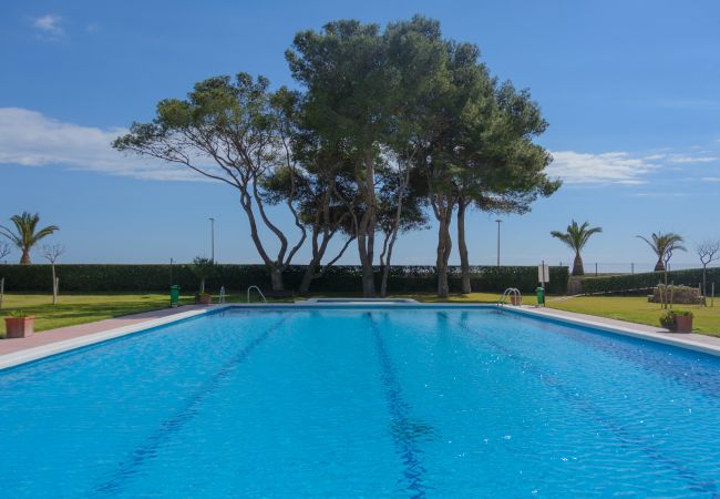 Appartement in Mont-Roig del Camp - Guardamar 4/6 Zeus Apartments Miami 11053