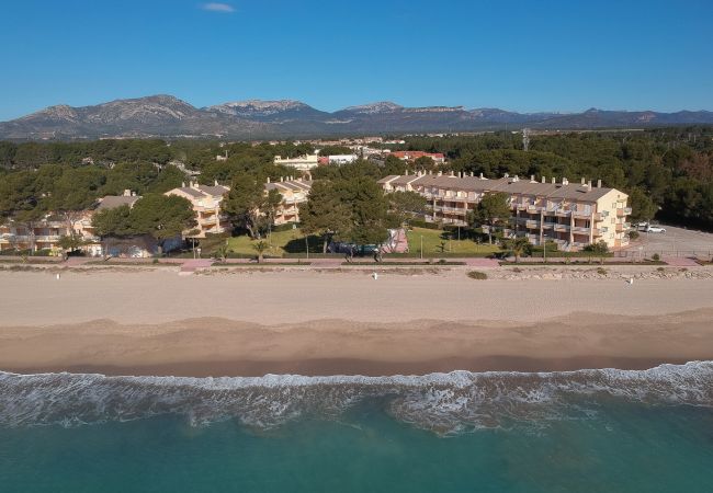 Appartement in Mont-Roig del Camp - Guardamar 4/6 Zeus Apartments Miami 11053