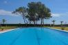 Appartement in Mont-Roig del Camp - Guardamar 4/6 Zeus Apartments Miami 11053