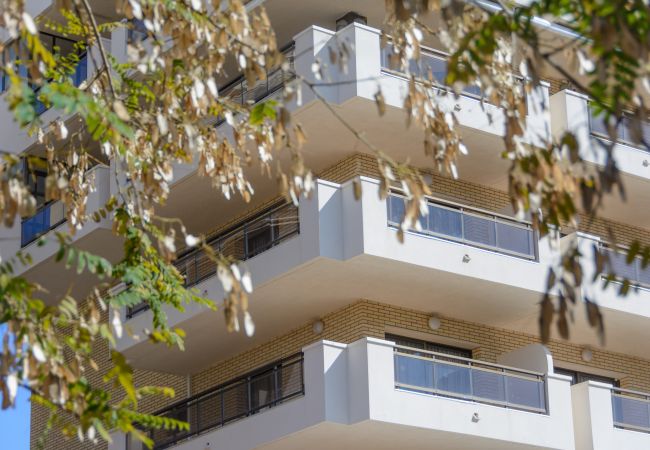 Apartment in Salou - Sant Jordi Zeus Salou 33302