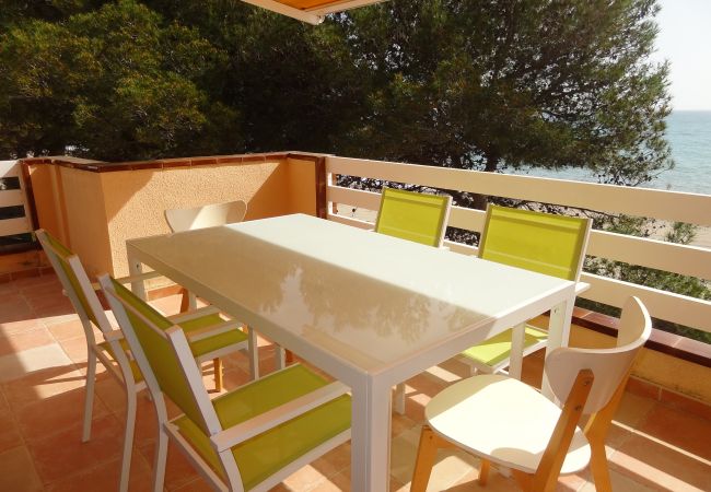 Apartment in Mont-Roig del Camp - Beachfront  Guardamar 11351