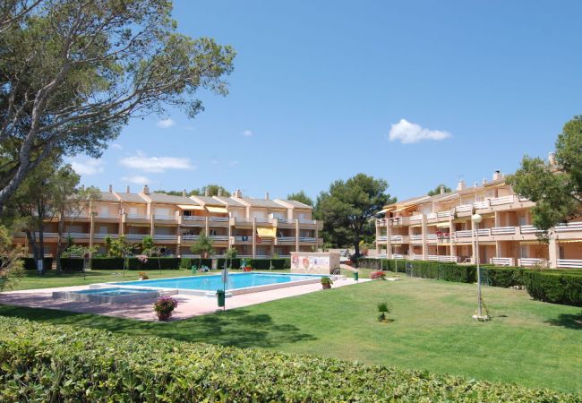 Апартаменты на Mont-Roig del Camp - Guardamar 2/4 Zeus  Apartments Miami 01251