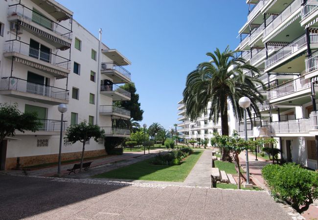 Квартира-студия на Салоу - Aries  Zeus Apartments Salou 1345