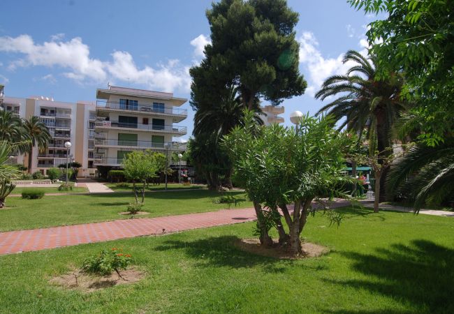 Квартира-студия на Салоу - Aries  Zeus Apartments Salou 1345