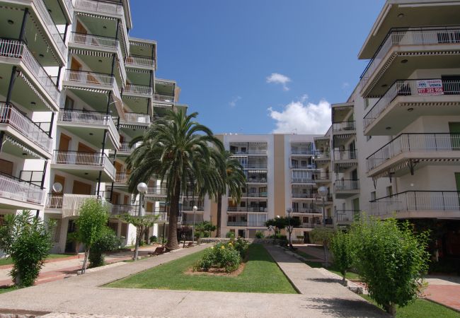 Квартира-студия на Салоу - Aries  Zeus Apartments Salou 1345